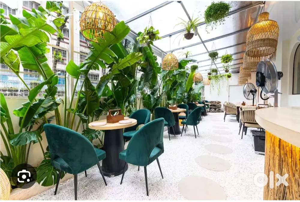 Staff requirements for cafe restaurant hotel resort. Mumbai NaviMumbai