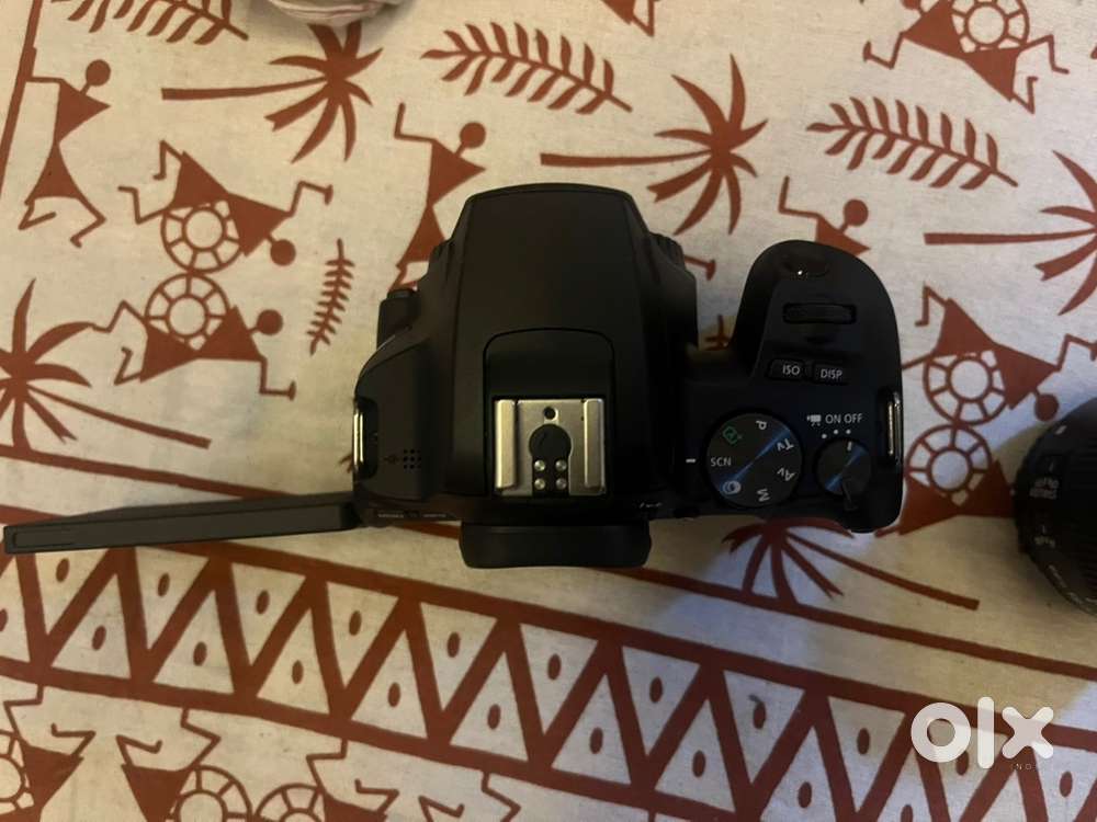 24.1MP DSLR with Dual Pixel AF, 4K video, and flip touchscreen.