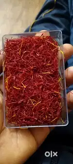 Kasmiri kesar