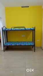DREAM NEST  pg stays for ladies