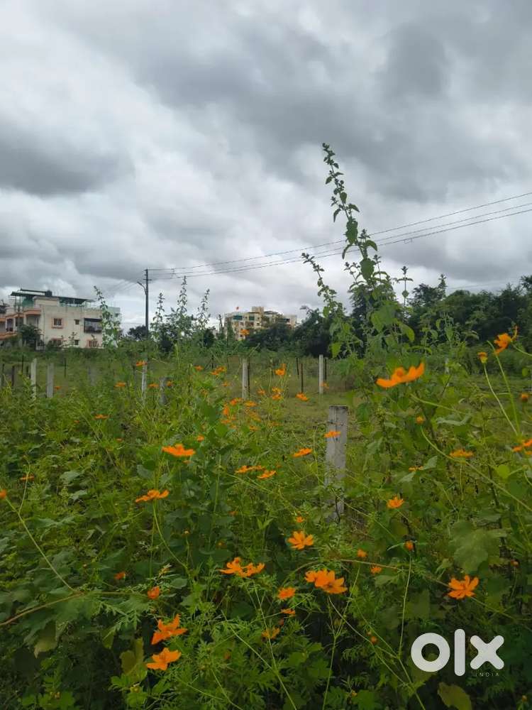 2084 sqerfit NA plot vikane ahe kodoli satara men road pasun javal
