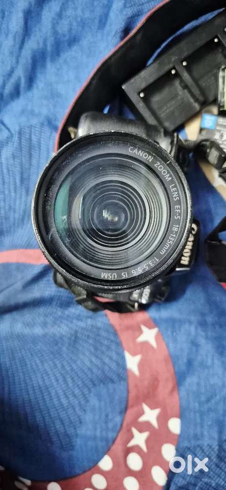 Canin camera