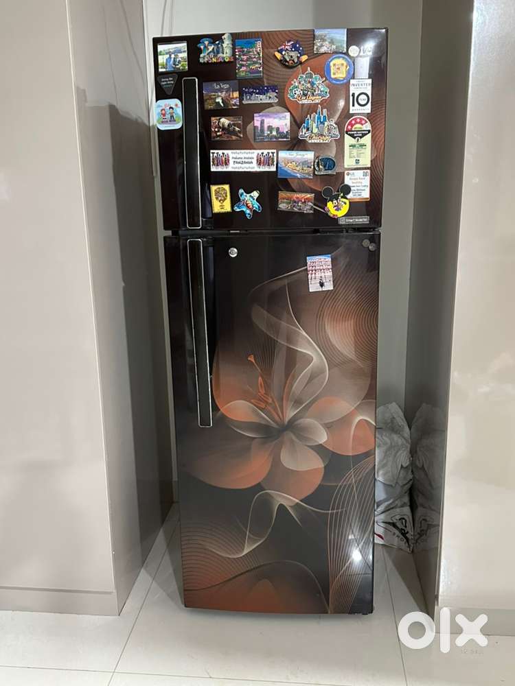 LG Smart Invertor 308 liter