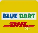 Office Staff Required – DHL / Blue Dart – Kanhangad
