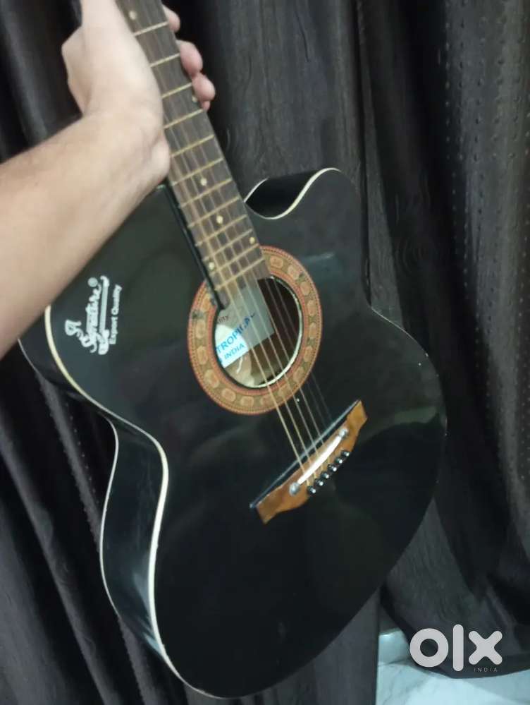 Acoustic guiter (signature) in good condition
