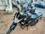 Unicorn for sale