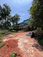 31 cent for sale at Vellimadukunnu , Near Madyamam Dialy