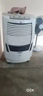 Cooler celia
