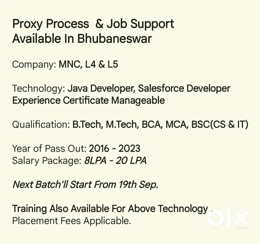 Developer ,it engineer, mechanical, civil