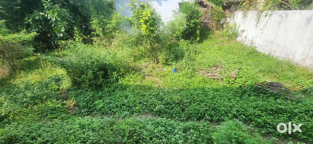 Land for sale