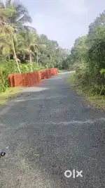 Orchard zone property