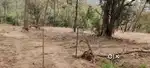 Land for sale near Jhaniyari
