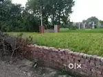 selling pot