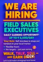 Sales executive
