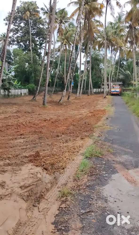 35 cent Near Kollam,Kochammanada, Pattathanam for sales