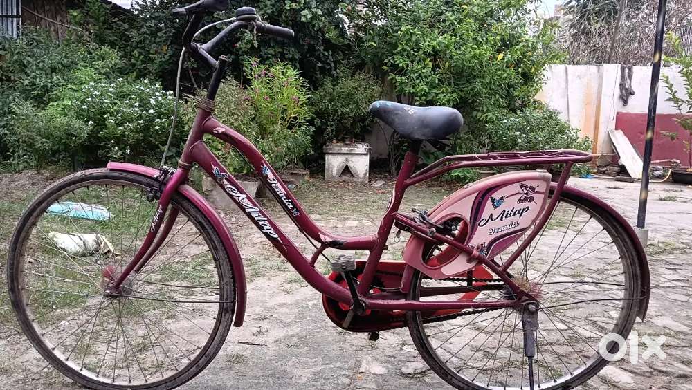 A new Cycle