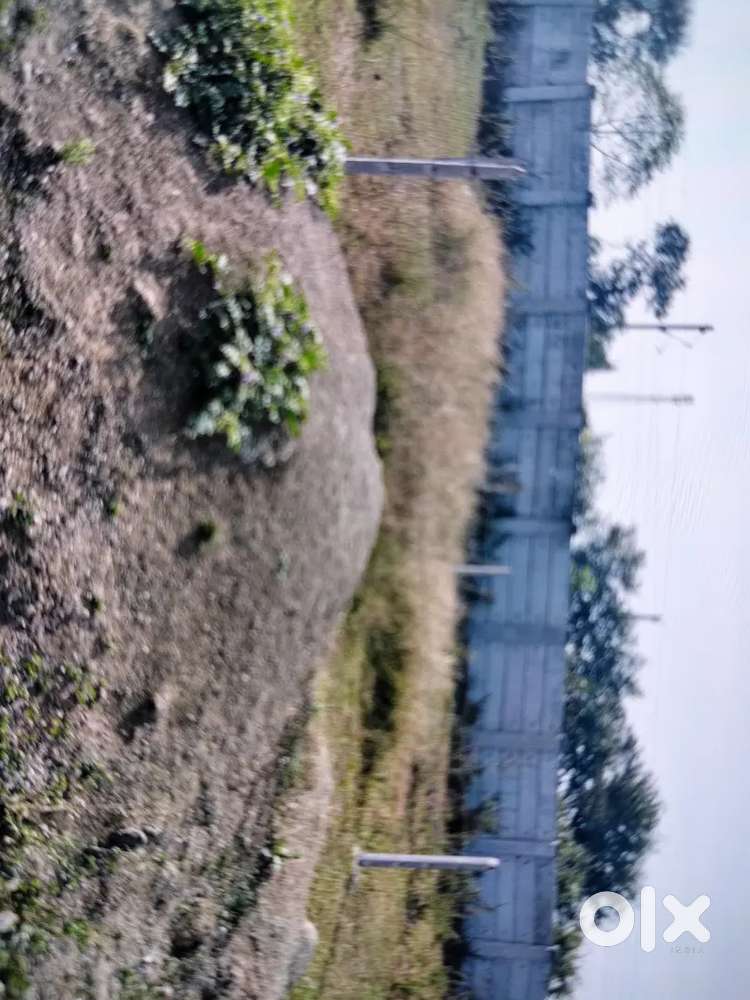 Bhopal ward no. 84  nagar nigam me hai badhiya loction 11 mill