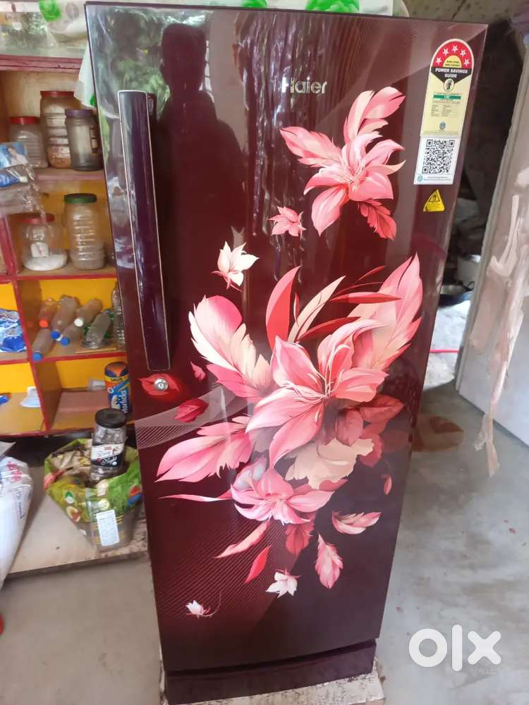Fridge Haier 5 star refrigerator