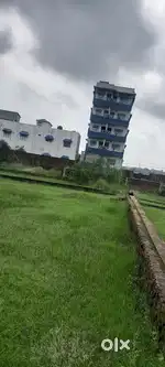 6 dcml GM plot in Daldali on road (ring road)