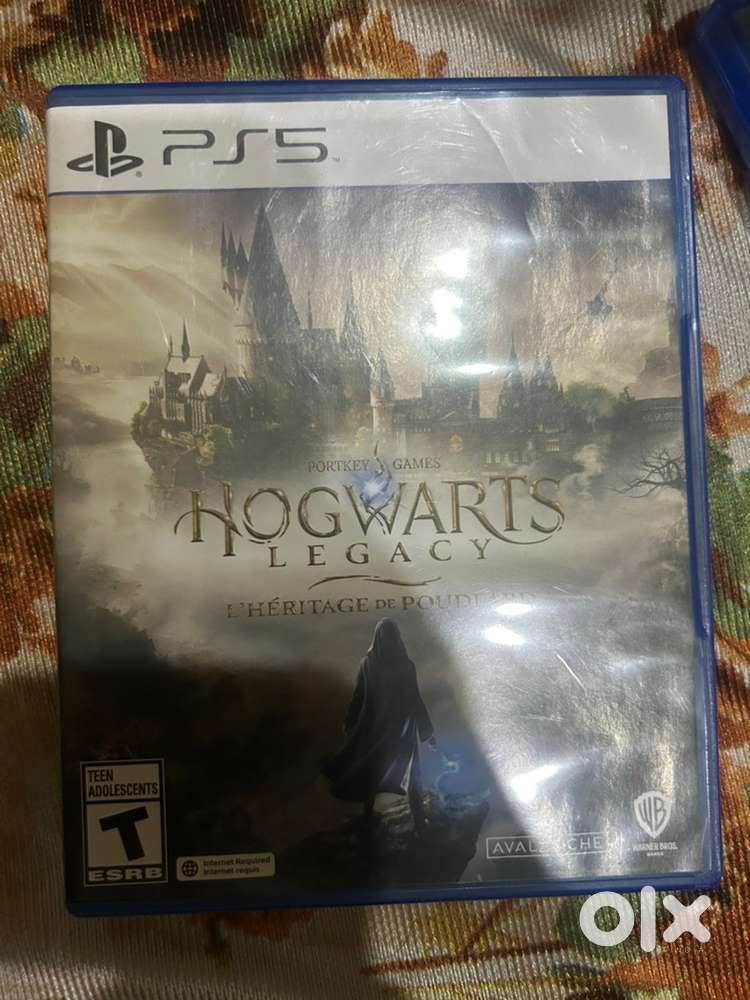 Harry potter hogwarts legacy