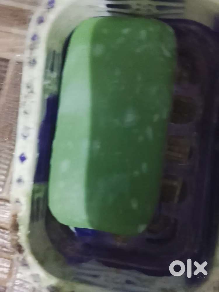 Kerala tea estate agent number