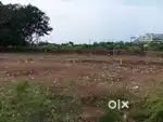 200 SQ yards Gorantla East Facing