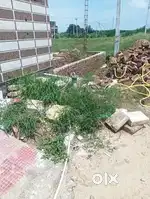 In best locality, in cheap amount