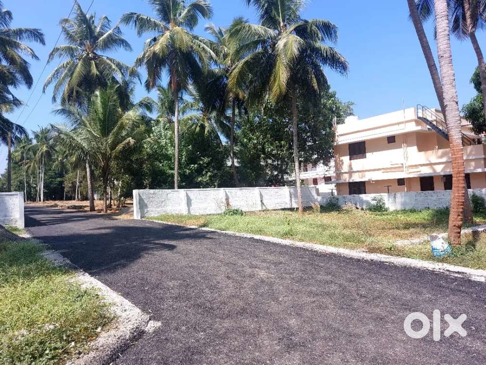 Thrissur Amala, 5,7,10,15 cent House plot for sale