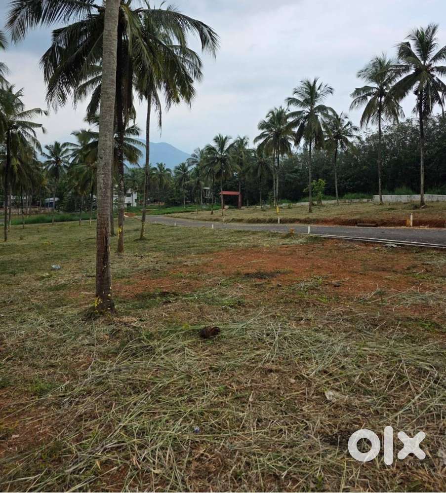 Residential plots for sale in Mannarkkad, Palakkad