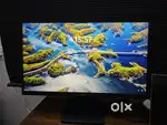 24 inch Fhd LG monitor