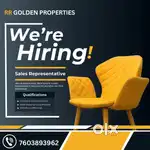 Business development executive