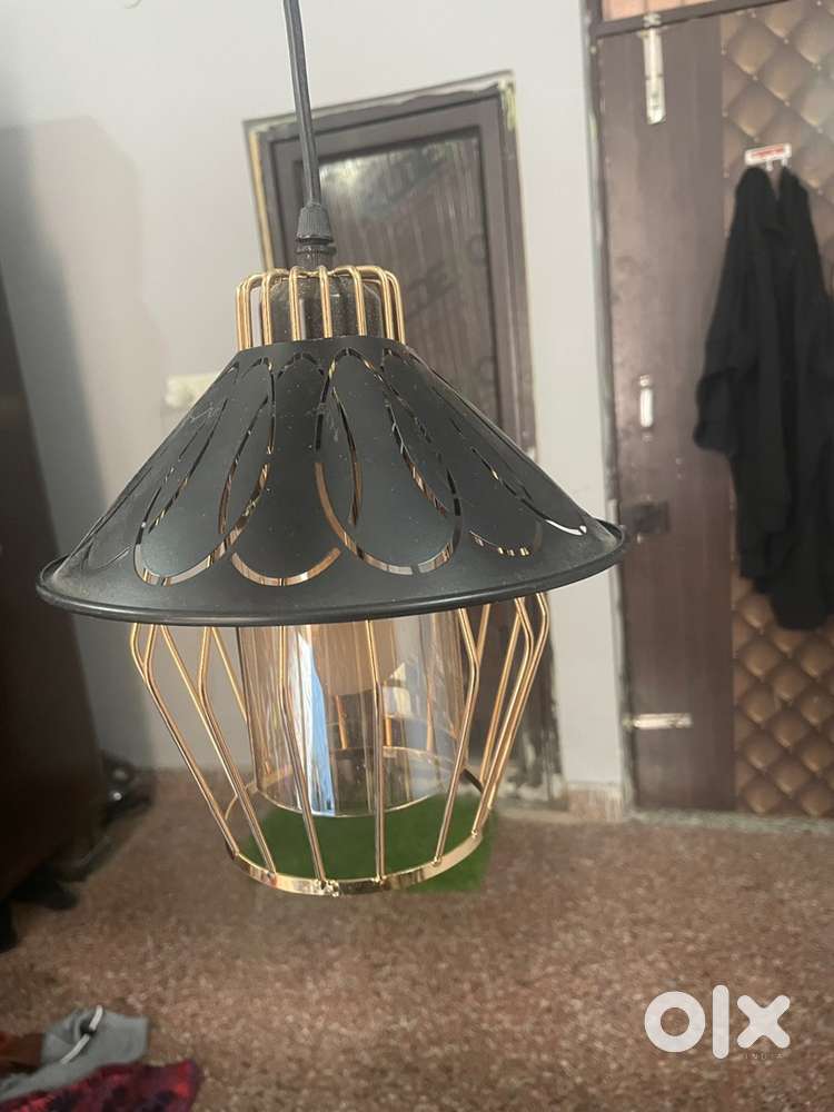 Hanging and track lights