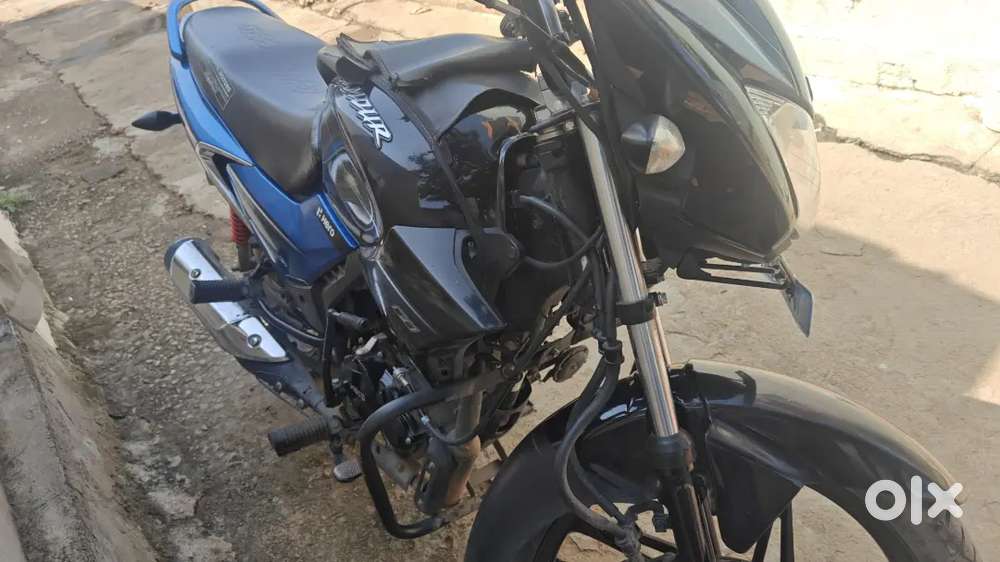 1 year vehicle for sale