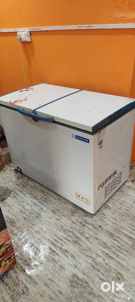 Blue Star CHFDD300DGSW Double Door Deep Freezer (284 L, White)