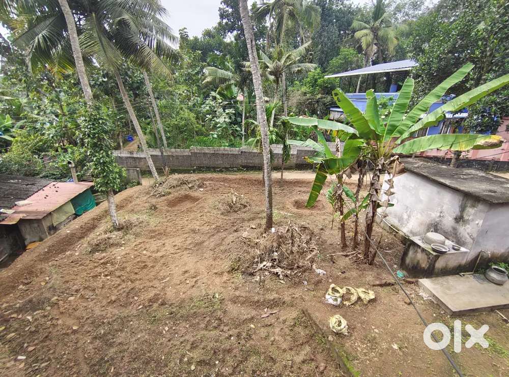 7.5 cent lant for sale