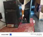 Windows 10 dell