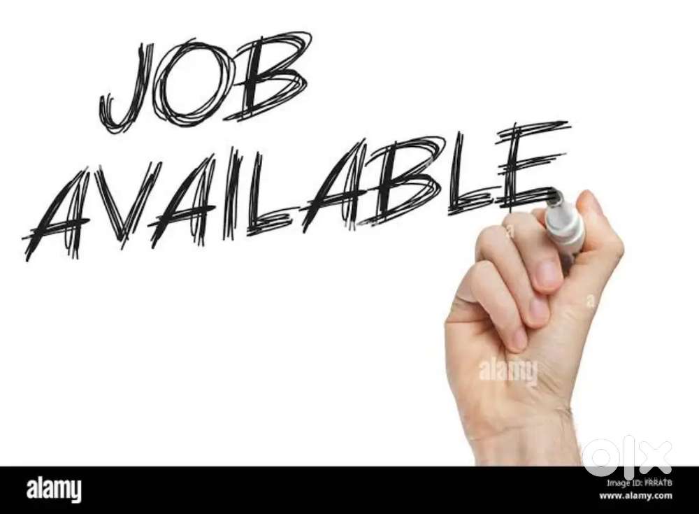 Job:- Real estate sales executive