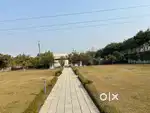 300gaj plot direct owner deal eco city 1 new chandigarh