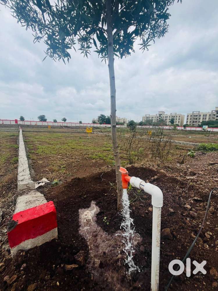 Investment NA Plot in Sanaswadi