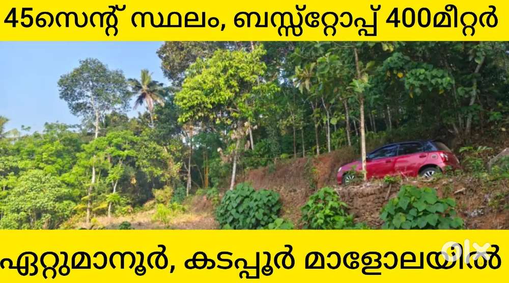 പാലാ ഏറ്റുമാനൂർ ബസ് റൂട്ടിന് സമീപവും, തവളകുഴി എംസി റോഡിന് സമീപവും.