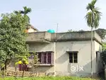 Urgent sell my house. Indipendent House I am owner