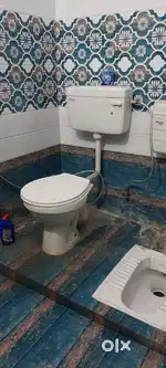Need female roommates