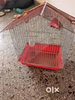 Small bird cage