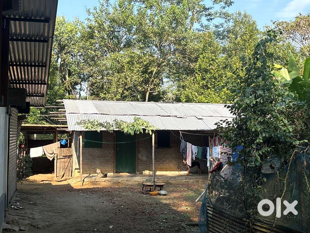 Independent room for family and bachelors