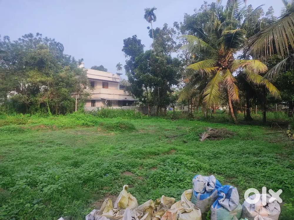 10 Cent For Sale , North paravur,Ernakulam