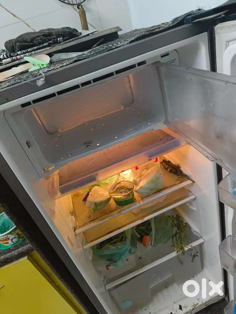 REFRIGERATOR