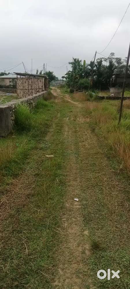 5 puras at nihoto vill 150 rs sq ft genuine buyers dm me