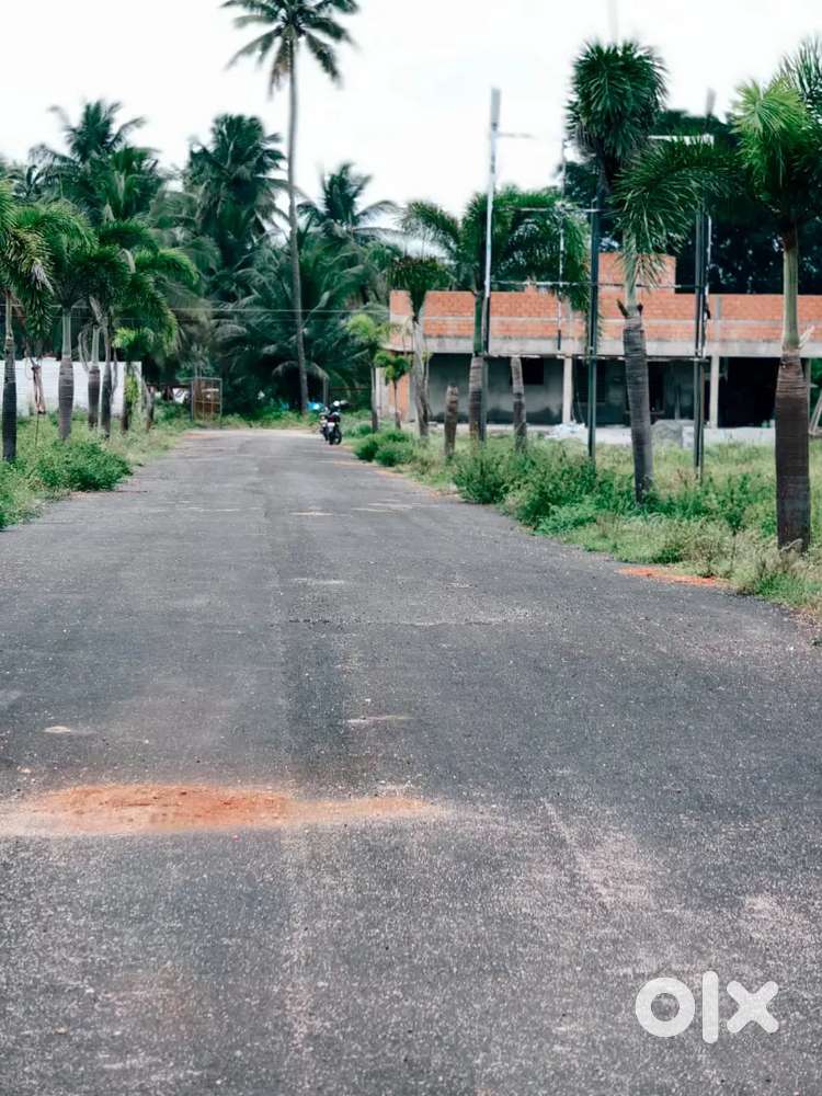 Low Budget dtcp plot sale in Othakaalmandabam arisipalayam road