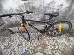 Mach City cycle
