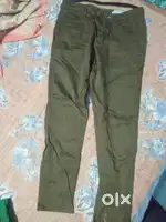 Hoddy green colour